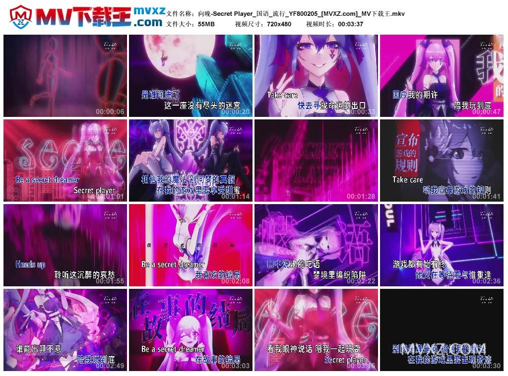 向晚-Secret Player_国语_流行_YF800205